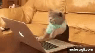 Keyboard Smash